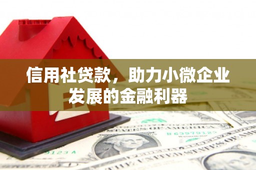 丹徒信用社贷款，助力小微企业发展的金融利器