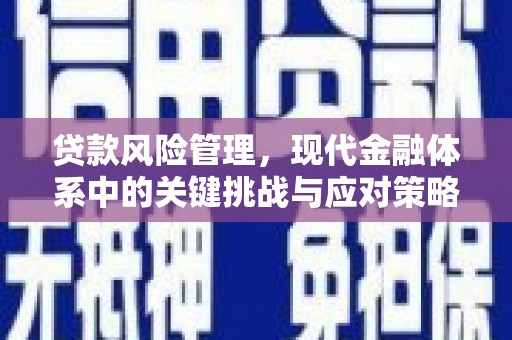 丹徒贷款风险管理，现代金融体系中的关键挑战与应对策略