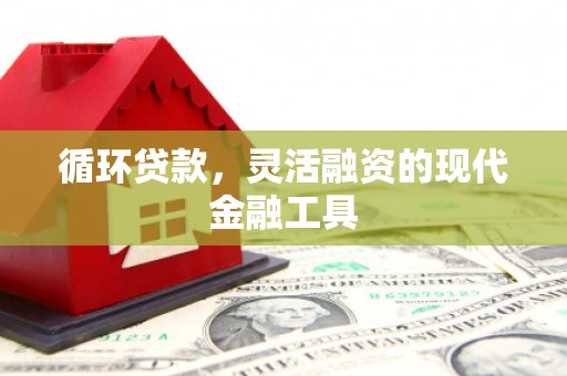 丹徒循环贷款，灵活融资的现代金融工具