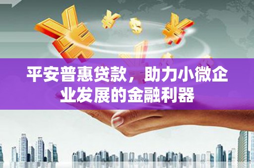 丹徒平安普惠贷款，助力小微企业发展的金融利器