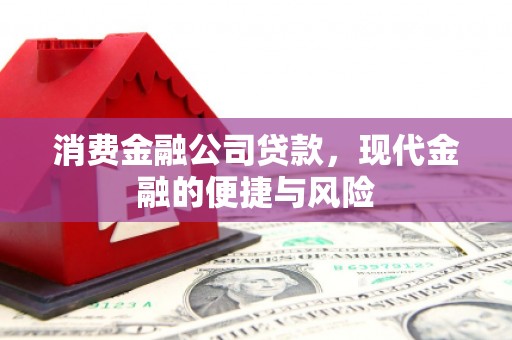 丹徒消费金融公司贷款，现代金融的便捷与风险