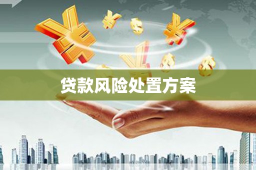 丹徒贷款风险处置方案