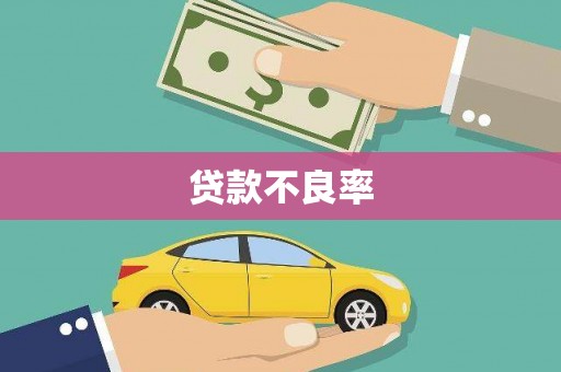 丹徒贷款不良率