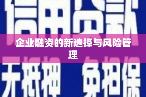 丹徒企业融资的新选择与风险管理