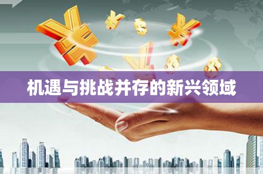 丹徒机遇与挑战并存的新兴领域