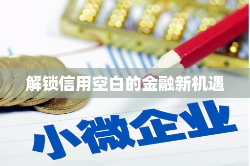 丹徒解锁信用空白的金融新机遇