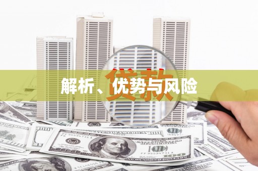 丹徒解析、优势与风险