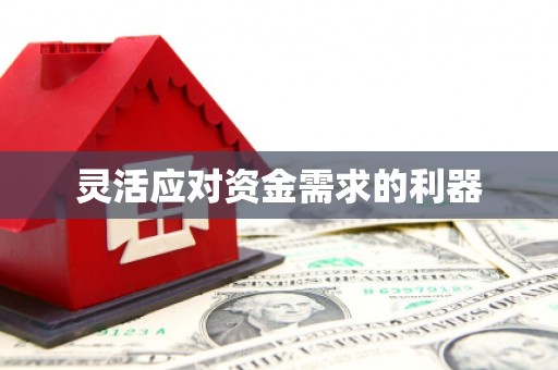丹徒灵活应对资金需求的利器