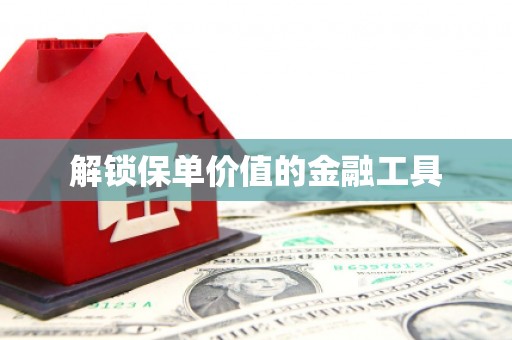 丹徒解锁保单价值的金融工具