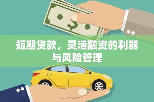 丹徒短期贷款，灵活融资的利器与风险管理