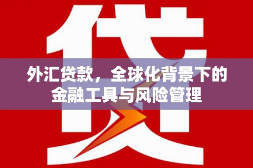 丹徒外汇贷款，全球化背景下的金融工具与风险管理