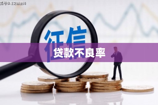丹徒贷款不良率