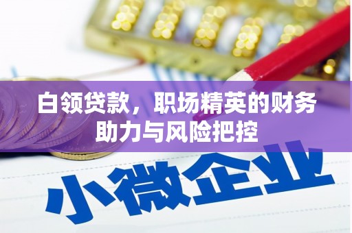 丹徒白领贷款，职场精英的财务助力与风险把控
